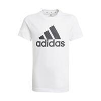 T-shirt Essentials