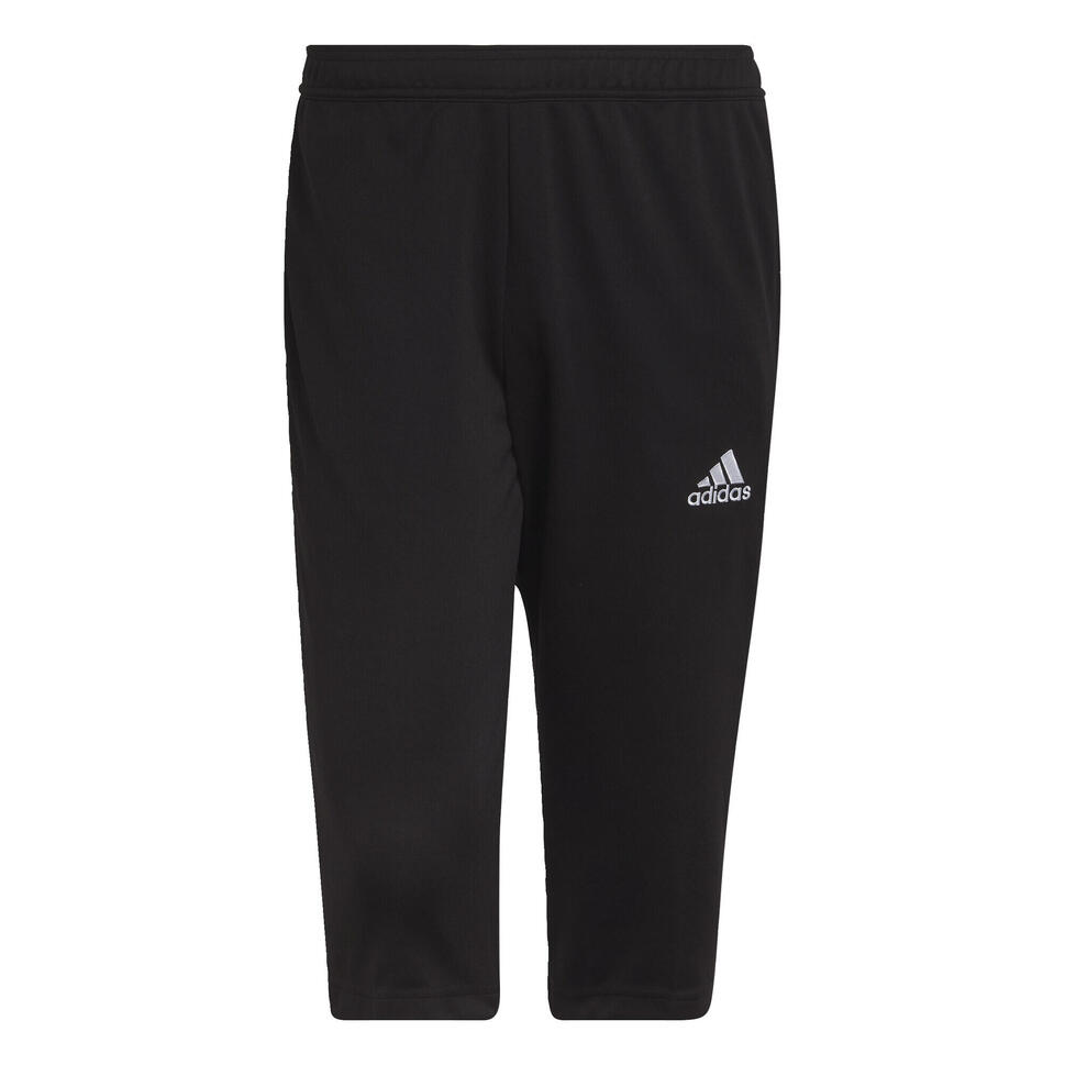 Entrada 22 3/4 Pants