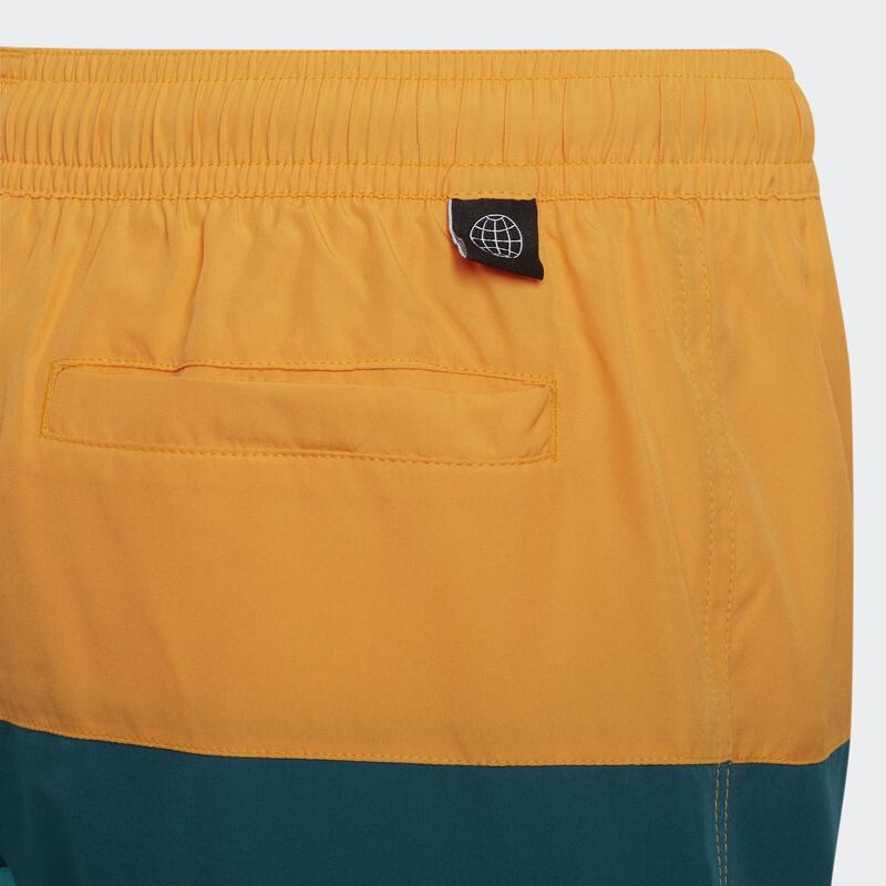 Colorblock Badeshorts