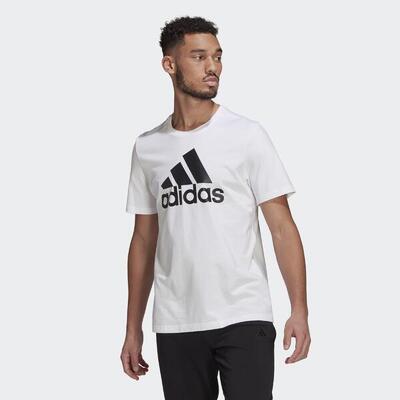 Essentials big logo t-shirt
