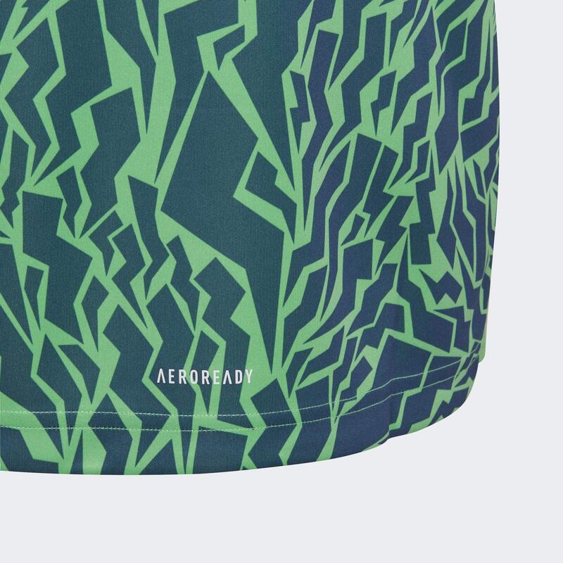 T-shirt AEROREADY Primegreen Graphic Camo