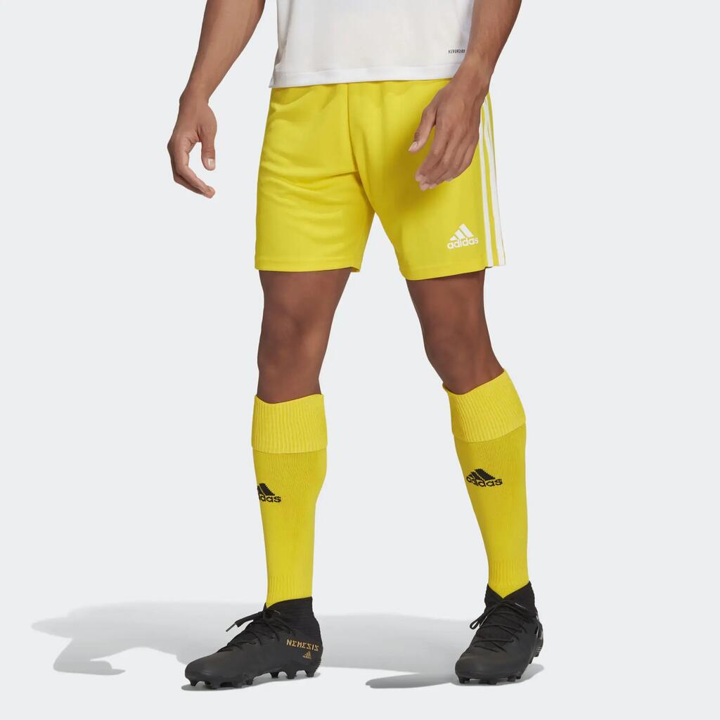 YELLOW / WHITE