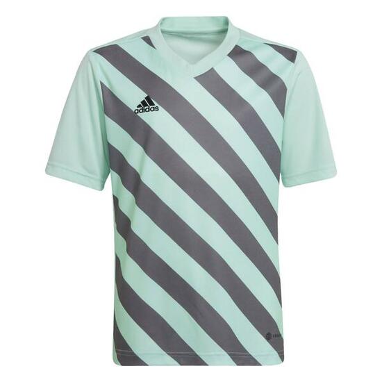 Entrada 22 Graphic Trikot
