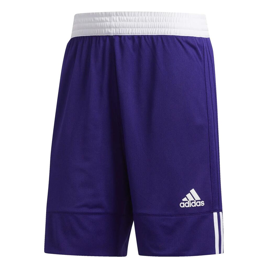 PURPLE / WHITE