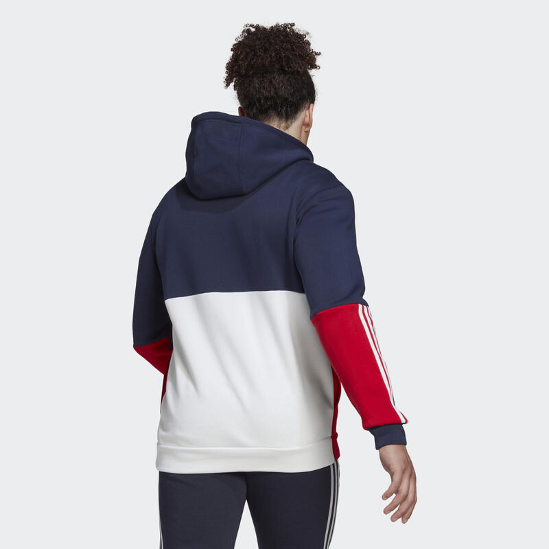 Veste à capuche en molleton entièrement zippée Essentials Colorblock