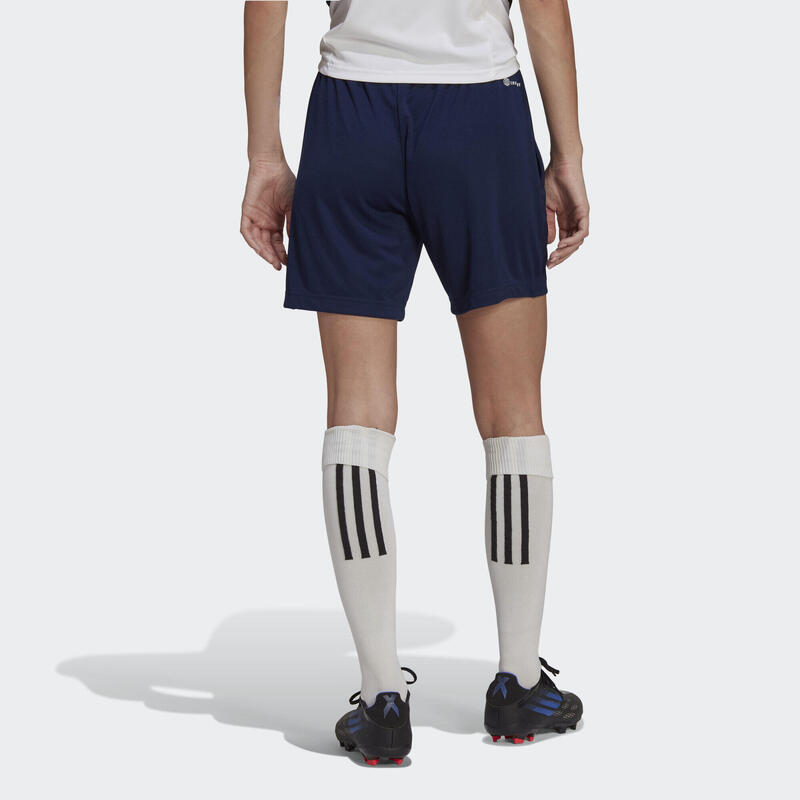 Entrada 22 Training Shorts
