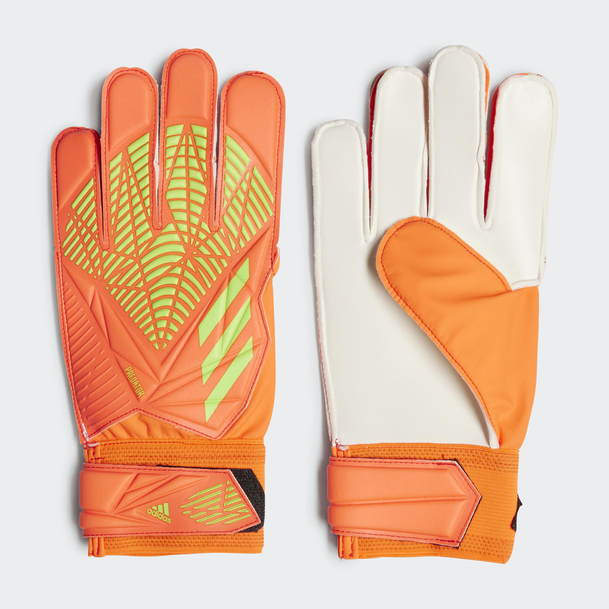 Predator Edge Training Torwarthandschuhe 1/5