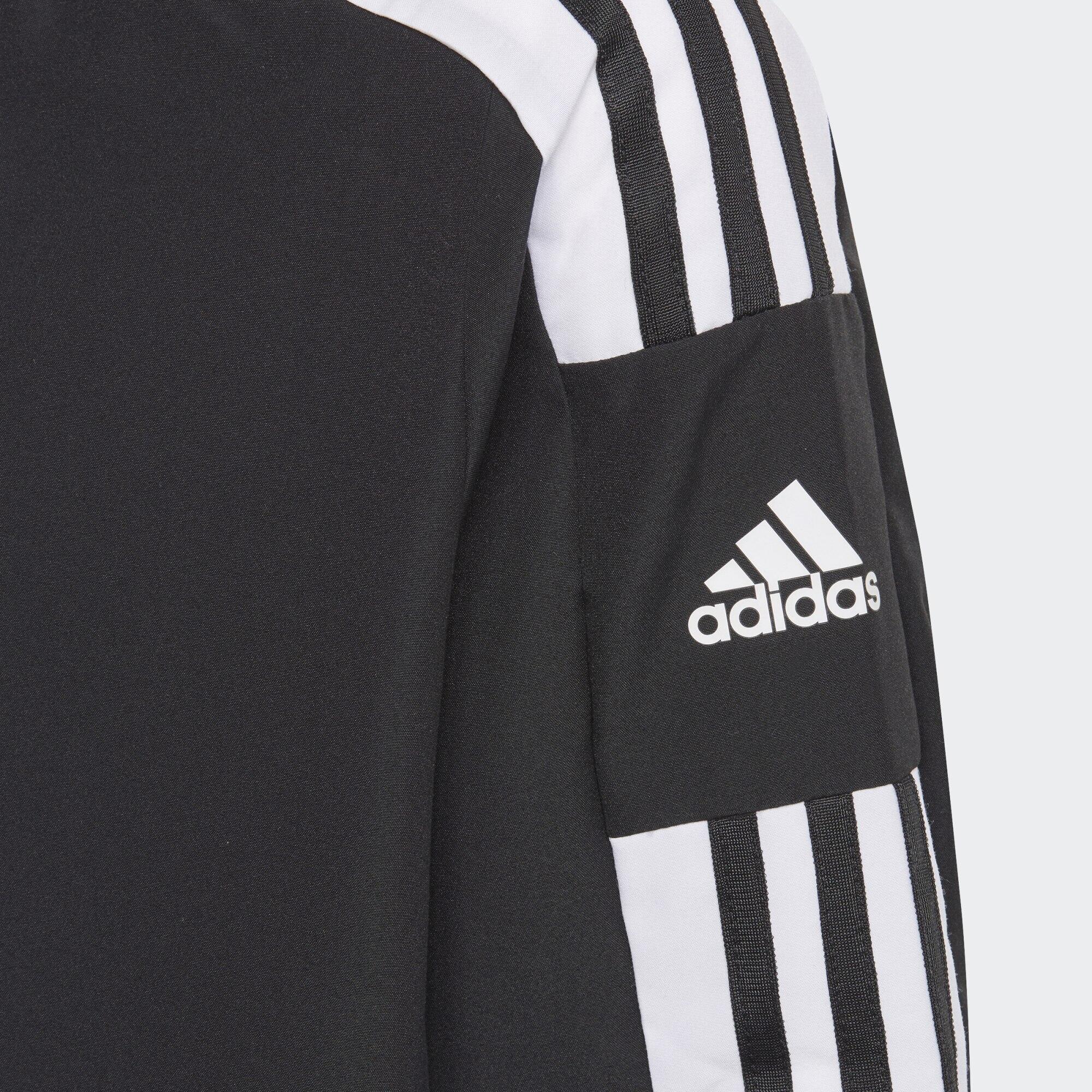 Chaqueta Presentación Squadra 21 5/5