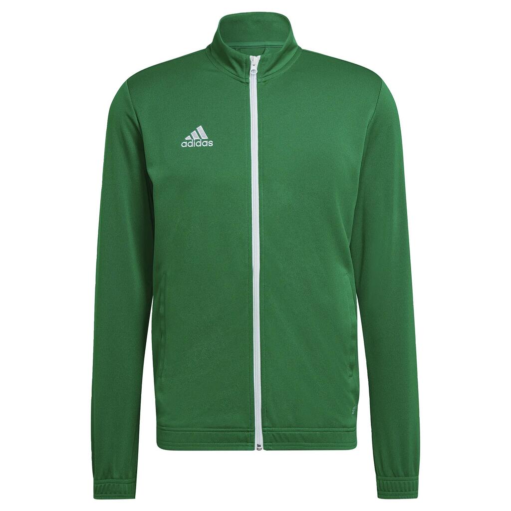 GREEN / WHITE