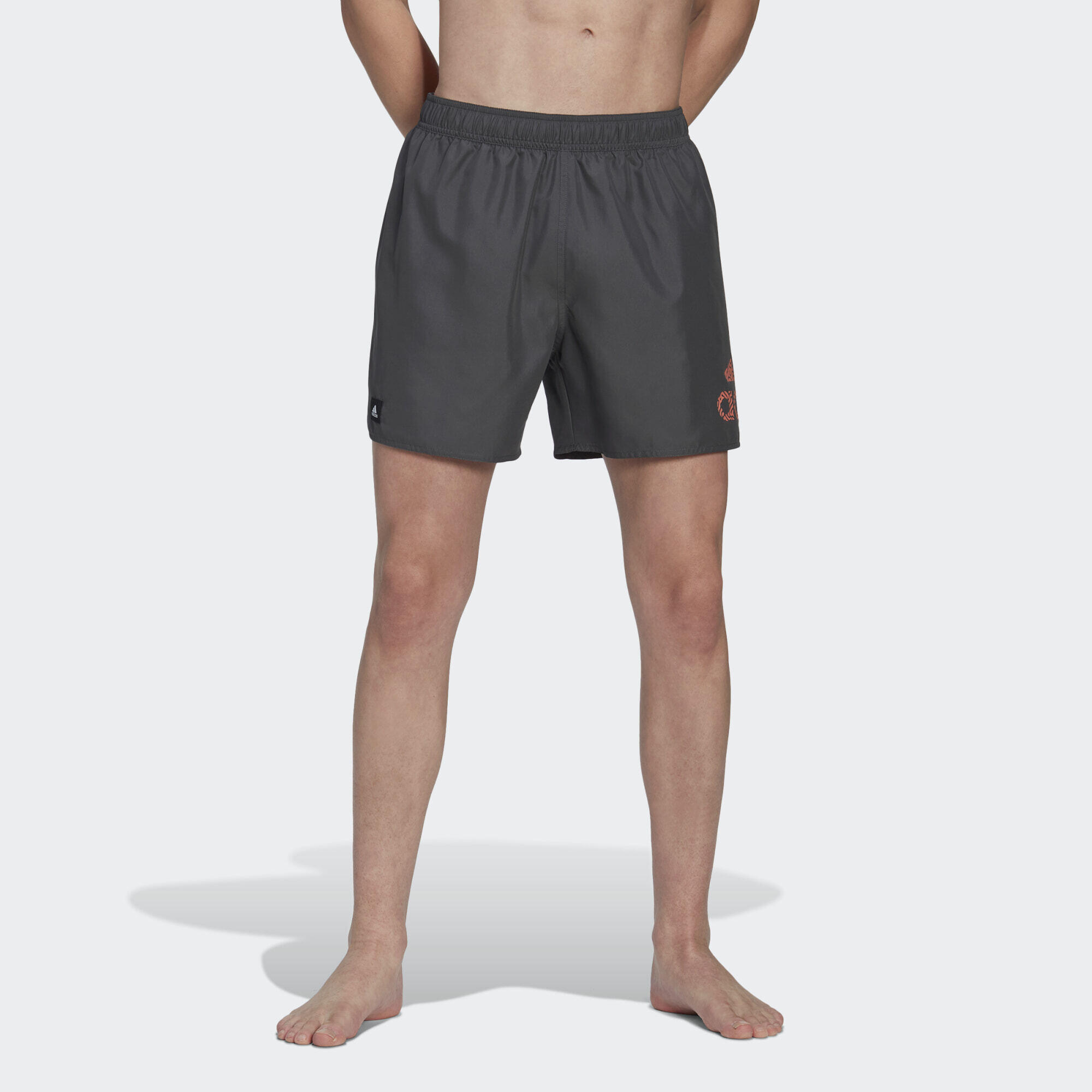 CLX short swim shorts