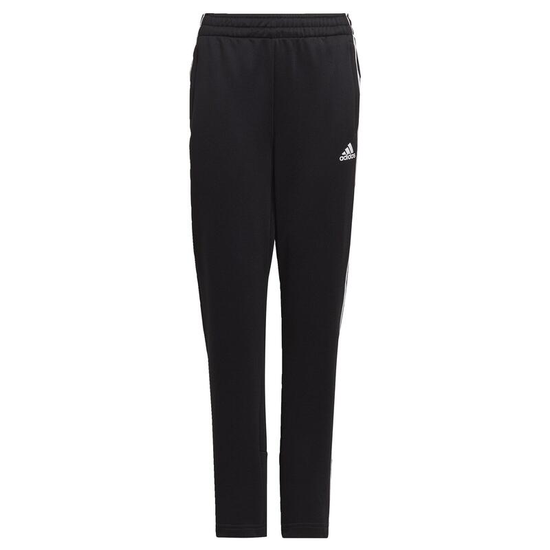 Pantalon AEROREADY Primegreen 3-Stripes Tapered