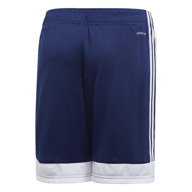 Tastigo 19 Shorts