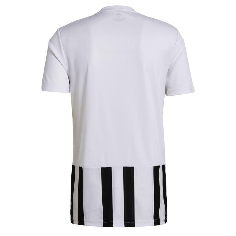 Maillot Striped 21