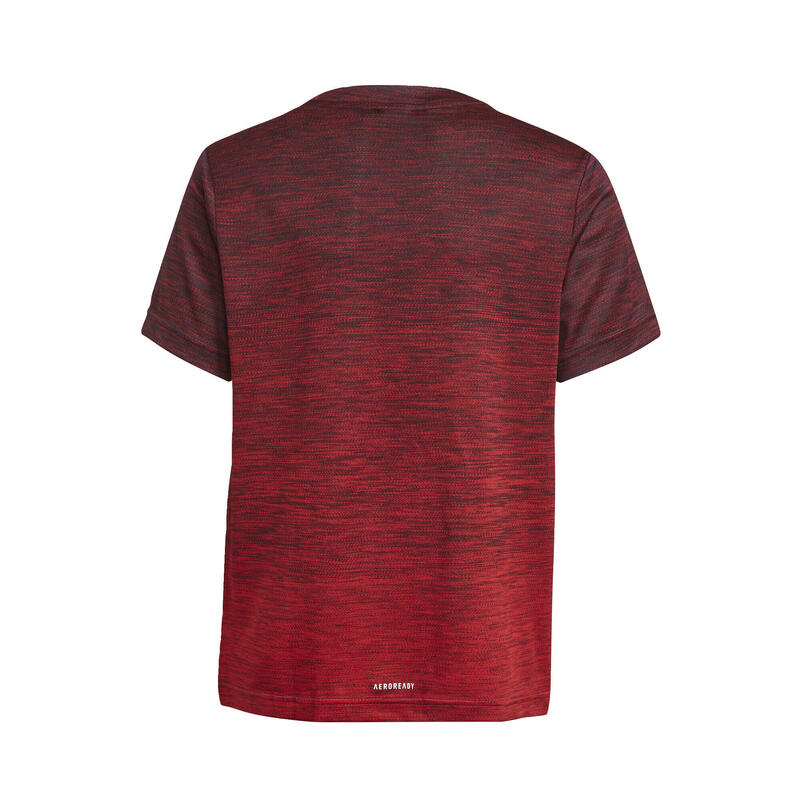 T-shirt AEROREADY Gradient