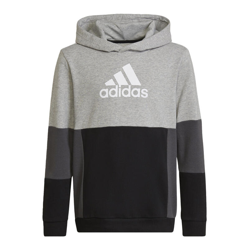 Sudadera con capucha Colourblock