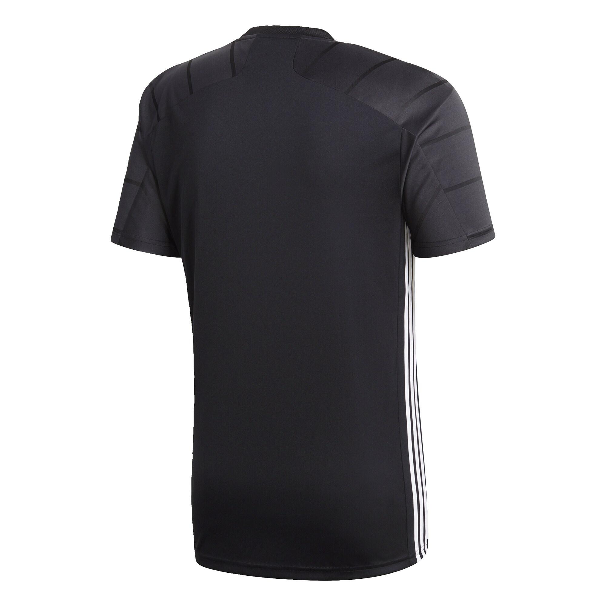 Maillot Campeon 21 3/4