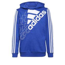 Sweat-shirt à capuche adidas Essentials Logo (Non genré)