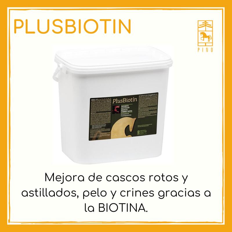 Suplemento nutricional con biotina para caballos. Lab Pino.