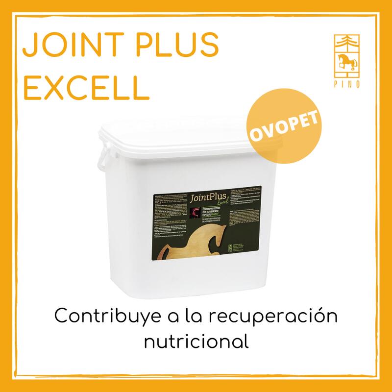 Condroprotector para caballos Joint Plus Excell. Lab Pino. Con Ovopet.