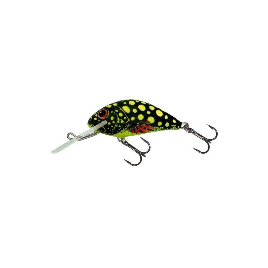 SALMO picture