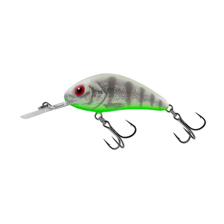 SALMO picture