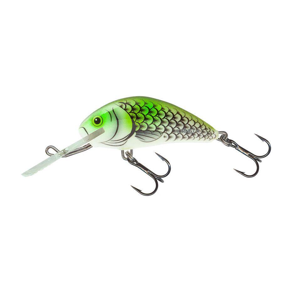 SALMO picture
