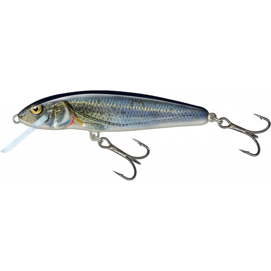SALMO picture