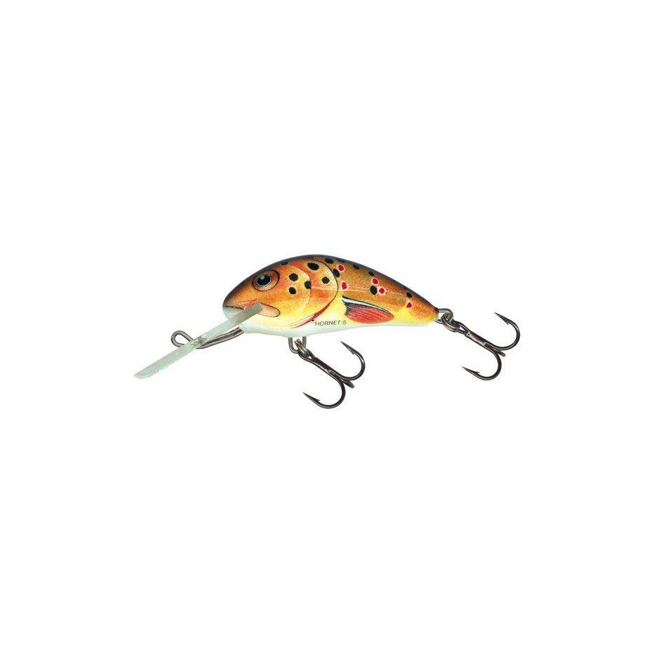 SALMO picture