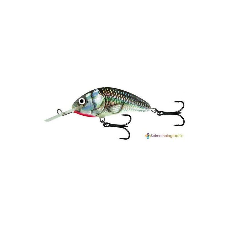 Wobler Salmo Hornet FL holographic