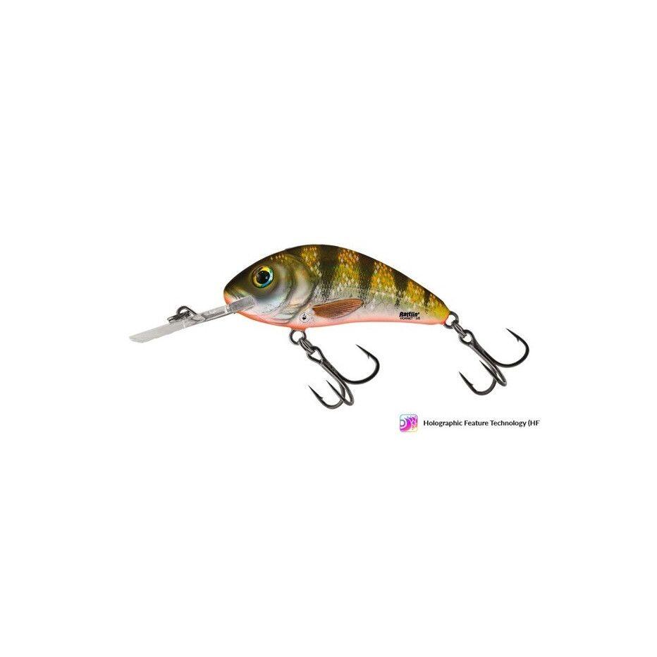 SALMO picture