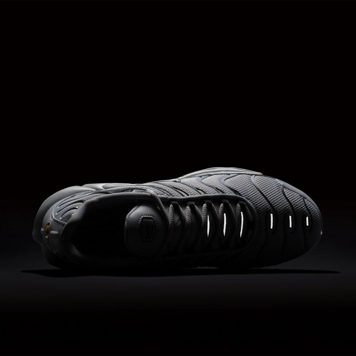 Air Max Plus Wolf Grey 2/5