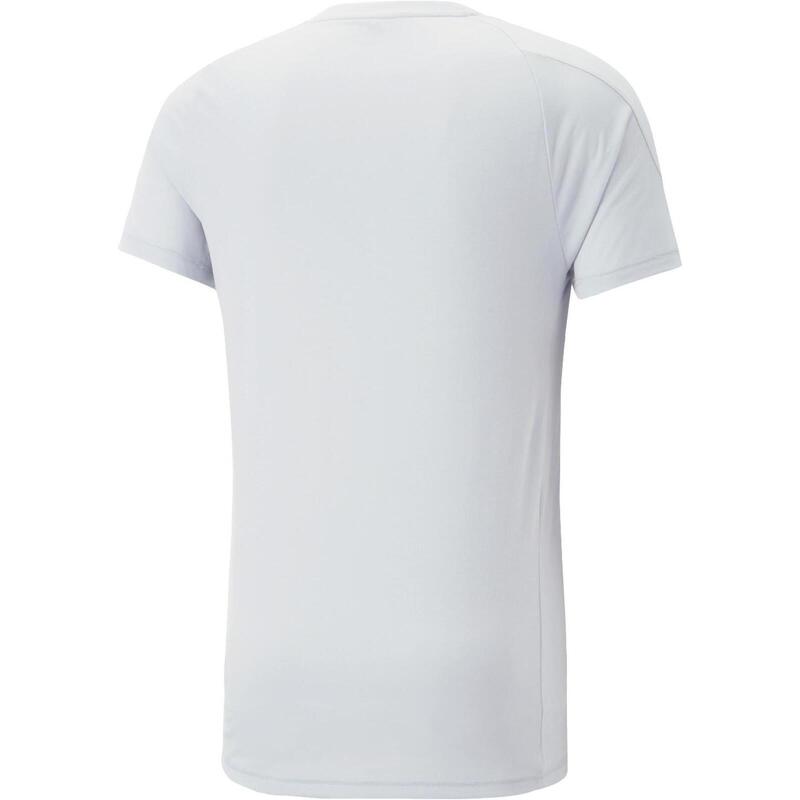Camiseta Puma Evostripe, Gris, Hombres