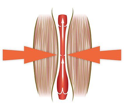 Bodi-Tek Circulation Plus Active 5/5