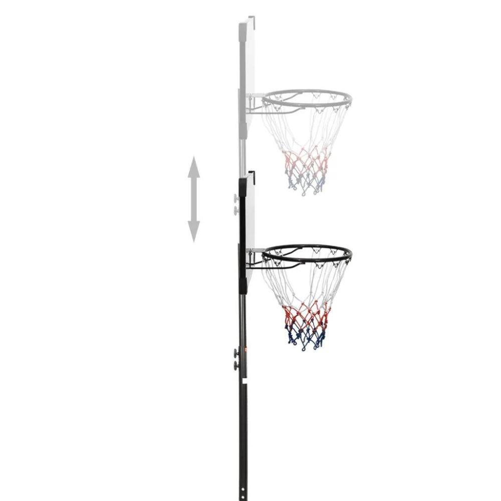 Canasta de baloncesto policarbonato transparente 216-250 cm 4/6
