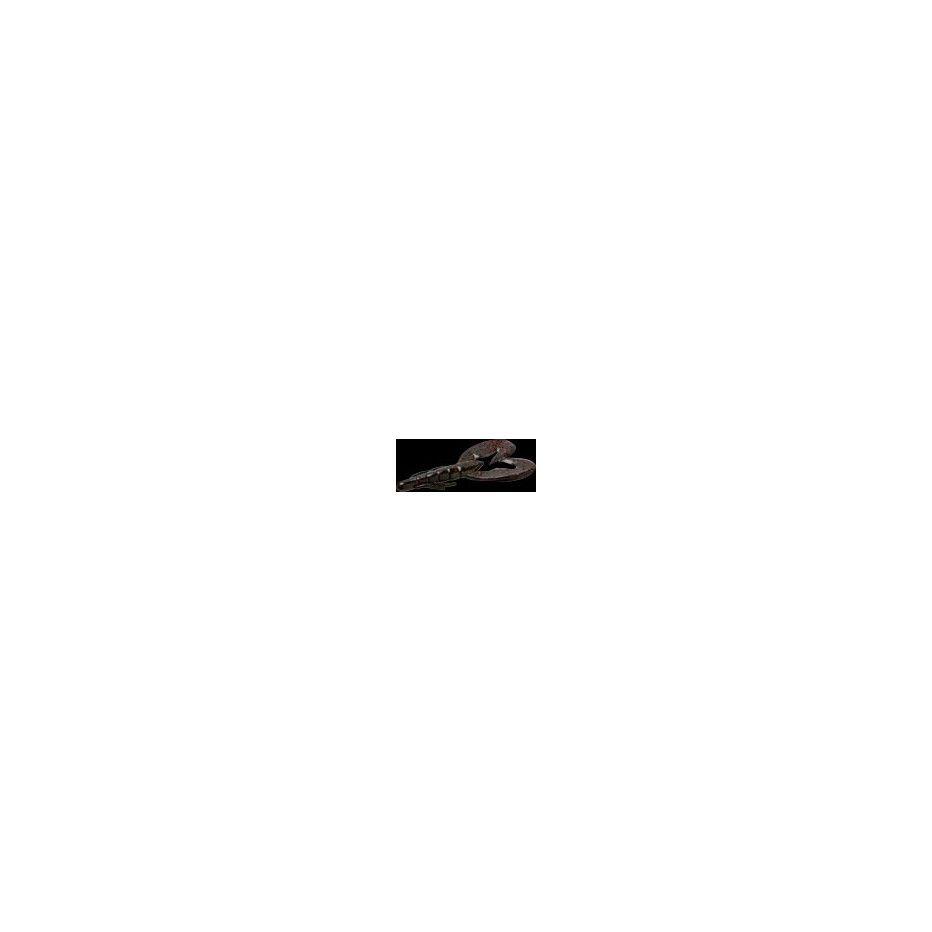 ZOOM picture