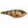 Poisson Nageur CWC Buster Swim Bait 13cm (769 - Sunfish)