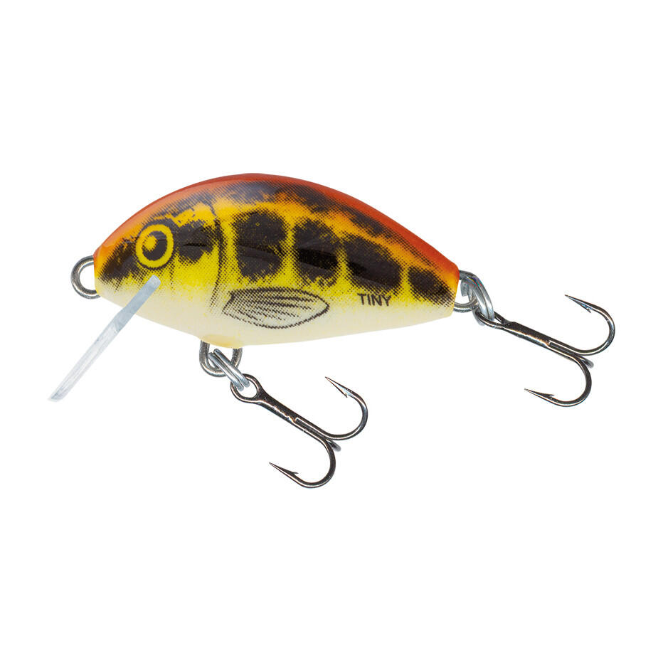 SALMO picture