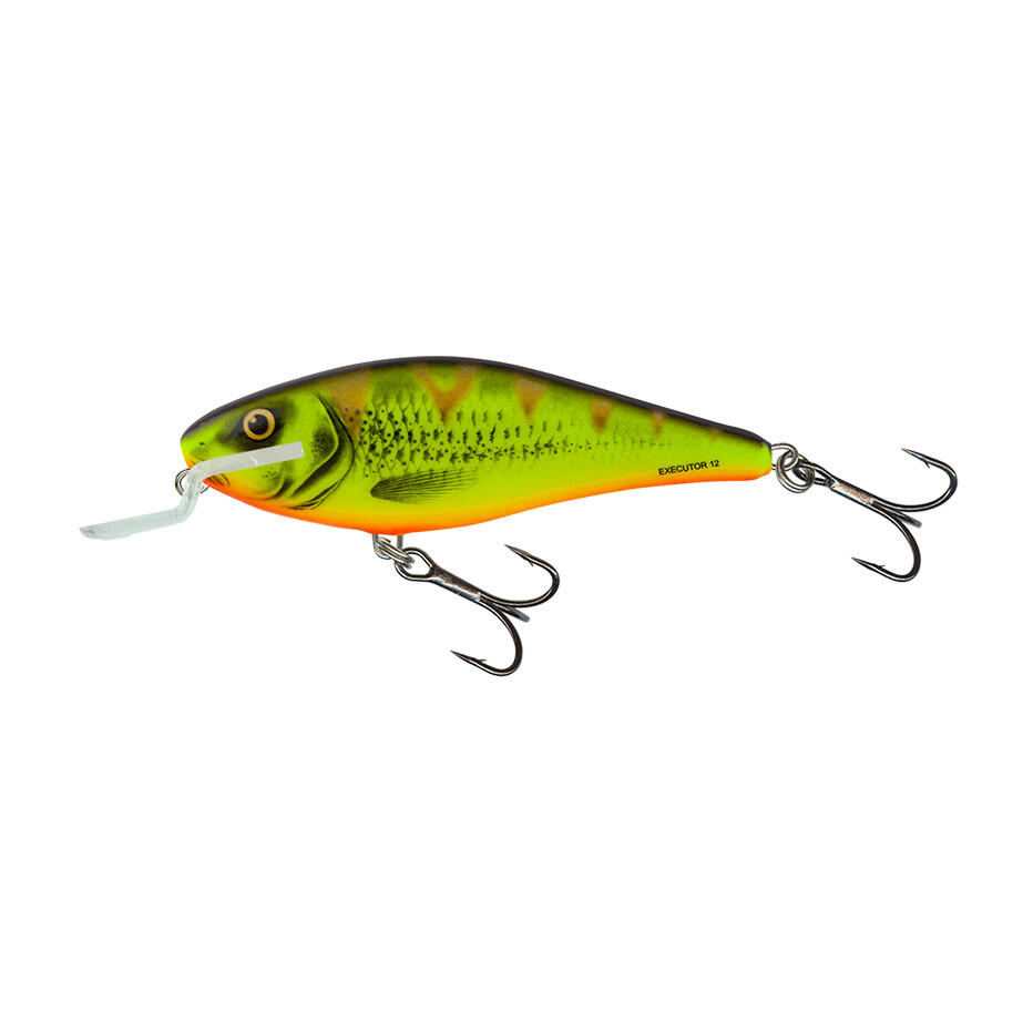 SALMO picture