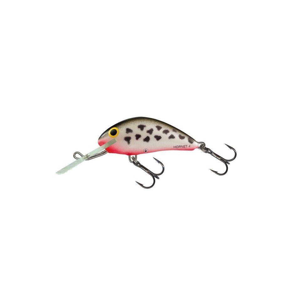 SALMO picture
