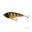 Poisson Nageur Westin Swim Suspending 15cm (3D Golden Perch)