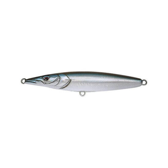 Poisson Nageur Xorus Asturie 110 (Smelt)