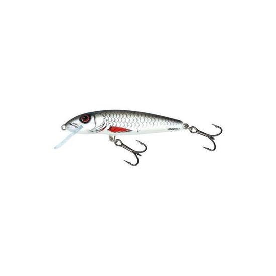 Salmo Minnow 5 cm flottant, coloris D - Dace, 3 g