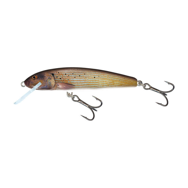 Poisson Nageur Salmo Minnow (M6S - Grayling)