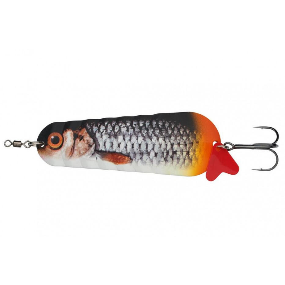 ABU GARCIA picture