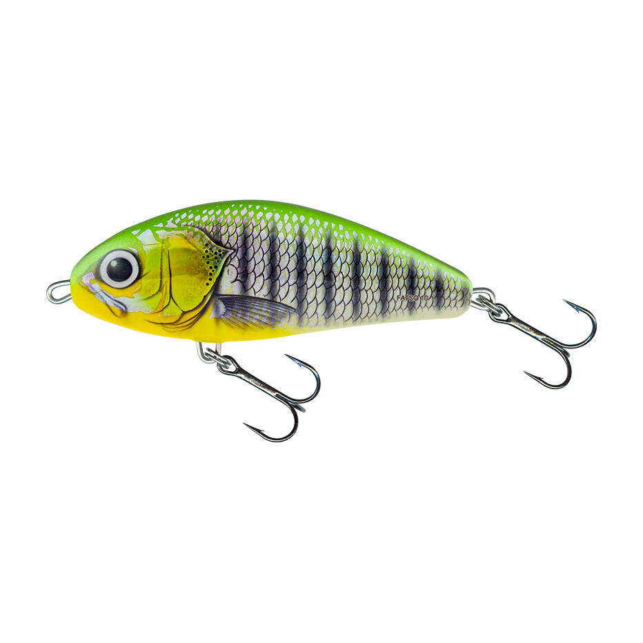 SALMO picture