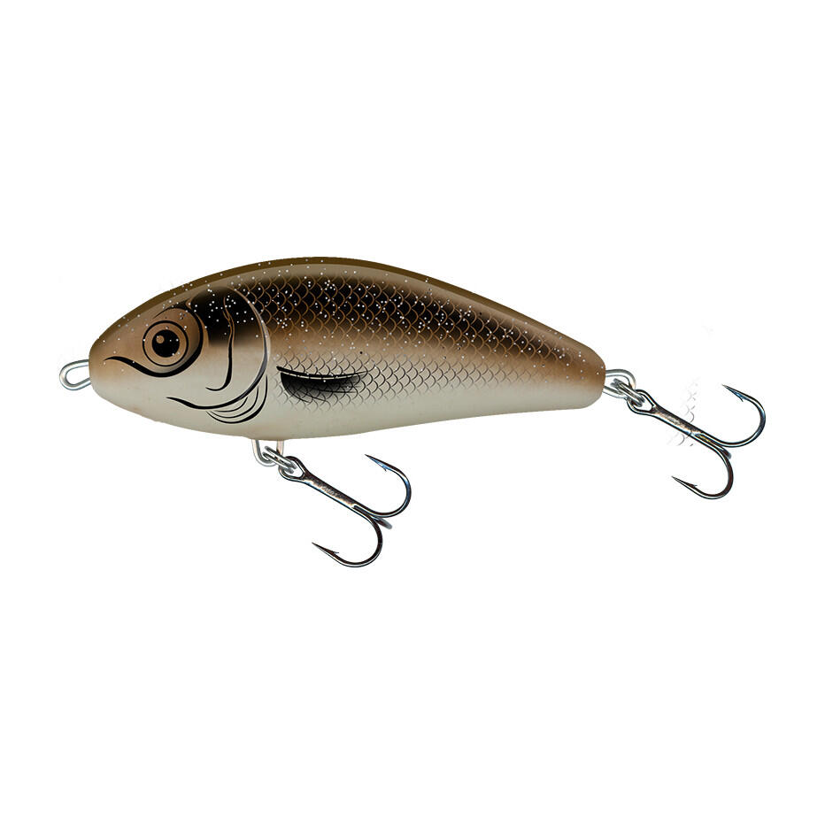 SALMO picture