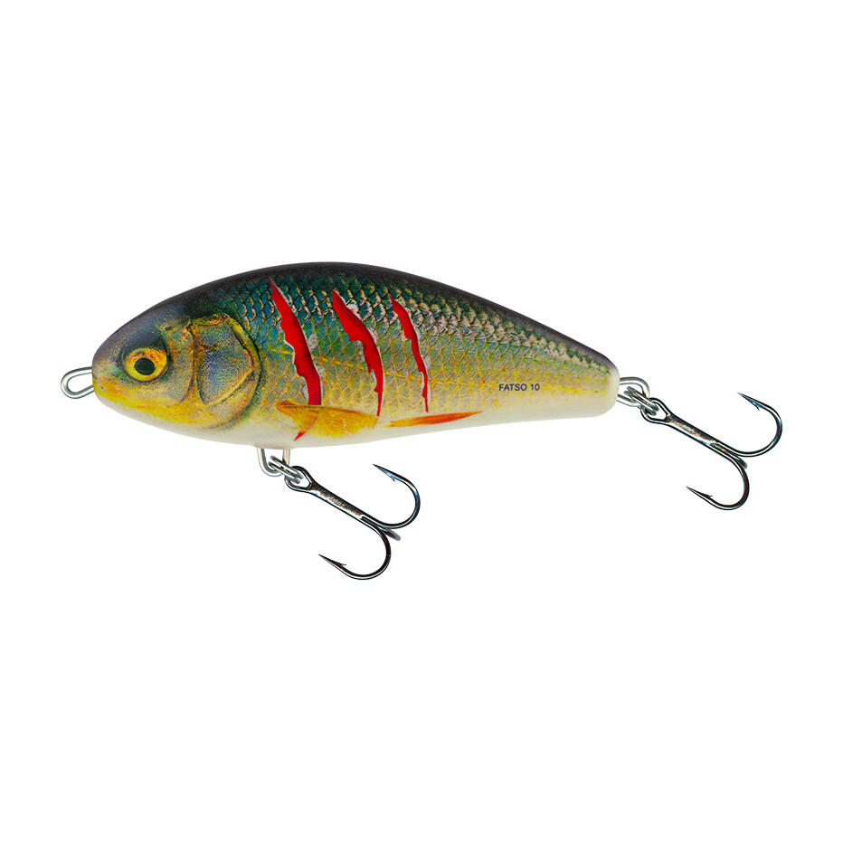 SALMO picture