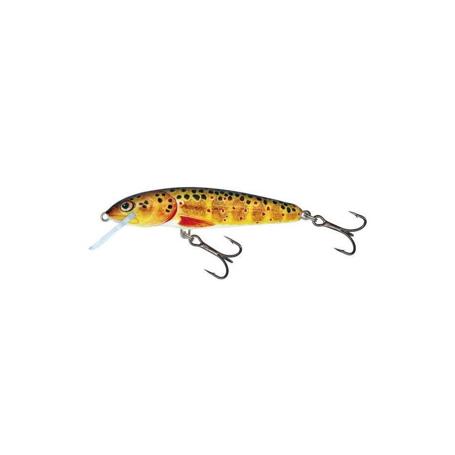 SALMO picture