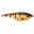 Leurre Jerkbait CWC Buster II 12cm (769 - Sunfish)