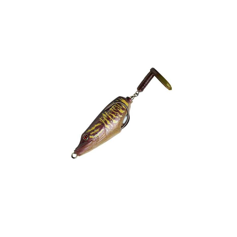 SAKURA picture